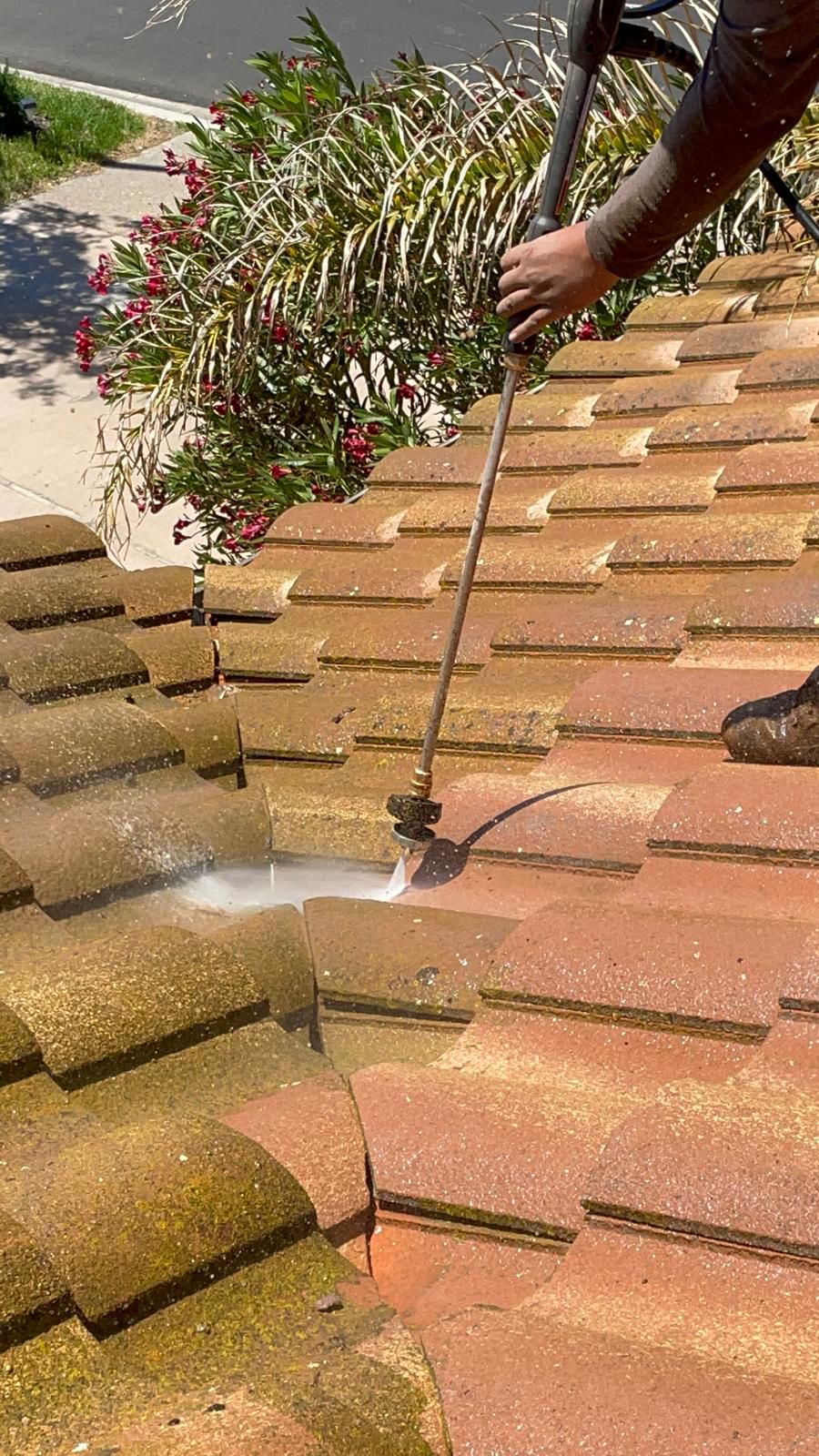 Pressure washing portfolio photo