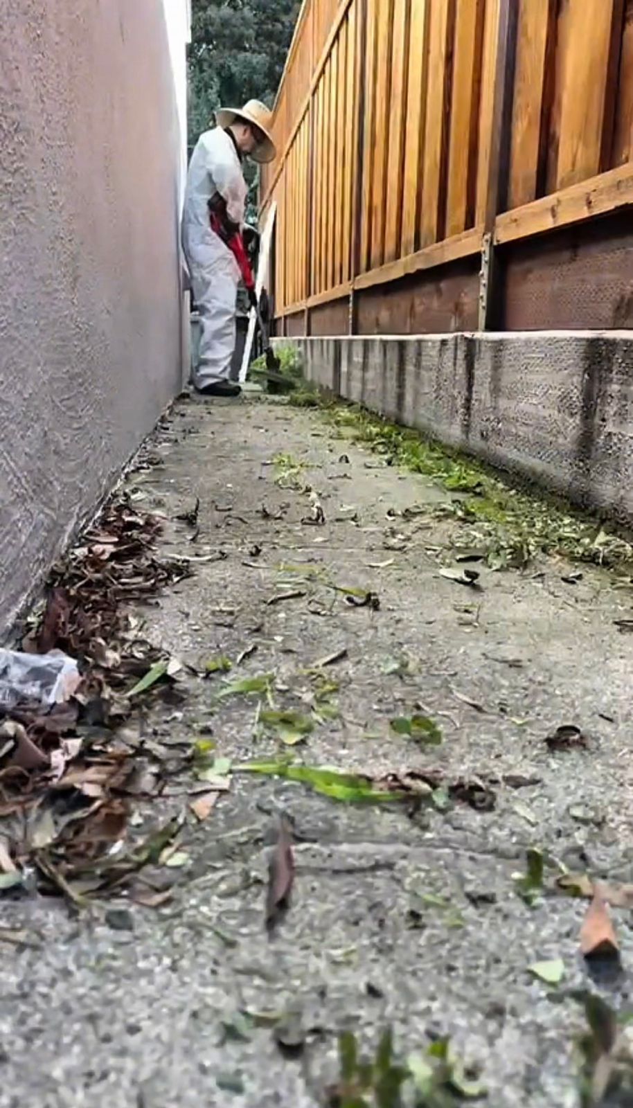 Pressure washing portfolio photo